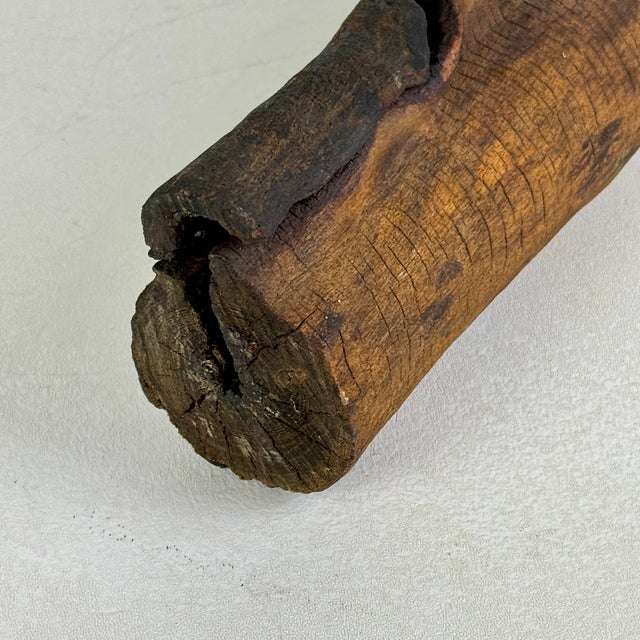 Brown Vintage Natural Wood Log Specimen With Unusual Growth Development, Sculpture For Sale - Image 8 of 8