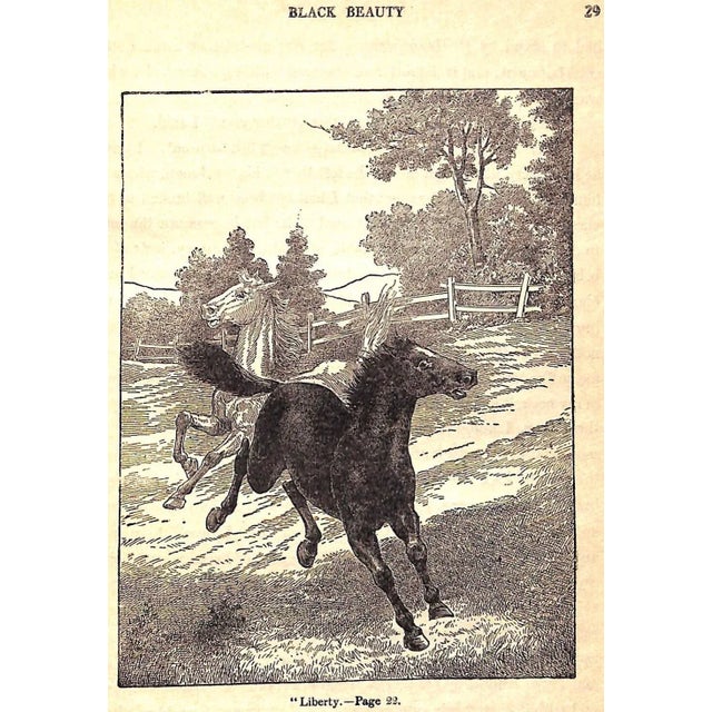 "Black Beauty: The Autobiography of a Horse" 1929 Sewell, Anna For Sale - Image 12 of 13