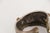Metal 1900s Tribal Silver Cuff Bracelet, Berber, North Africa For Sale - Image 7 of 12