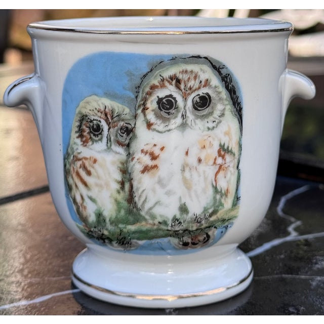 Presenting a vintage fine porcelain made in Japan cachepot in owl motif with gold gilt accents. An adult and young owl sit...