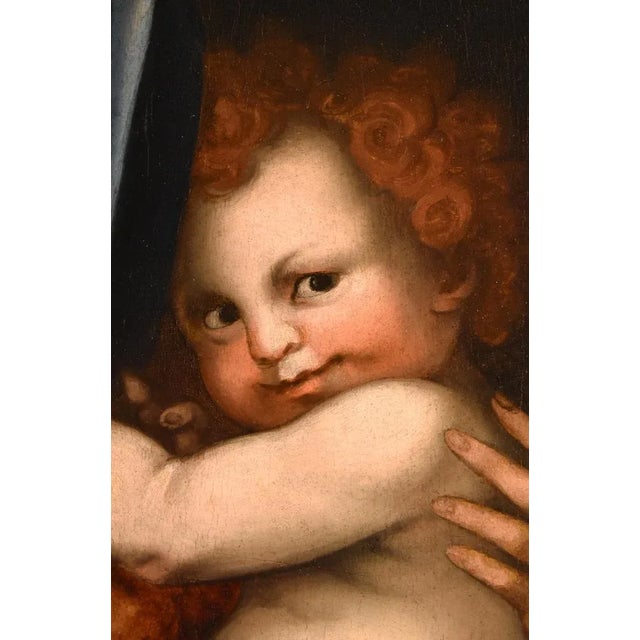 Workshop of Andrea del Sarto / Andrea d'Agnolo di Francesco, Madonna and Child, 1530, Oil on Board For Sale - Image 4 of 18