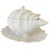 1970s Italian White Porcelain Conch Shell Tureen Set With Underplate & Ladle - 4 Pieces For Sale - Image 4 of 10