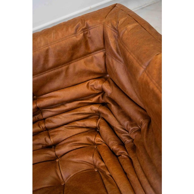Vintage Two-Seater Togo Sofa with Arms in Brown Pine Leather by Michel Ducaroy for Ligne Roset, 1970s For Sale - Image 14 of 18