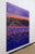 Contemporary "Monstera Double Shadows Blue Orange" - Large Original Acrylic Painting by Simon Findlay For Sale - Image 3 of 18