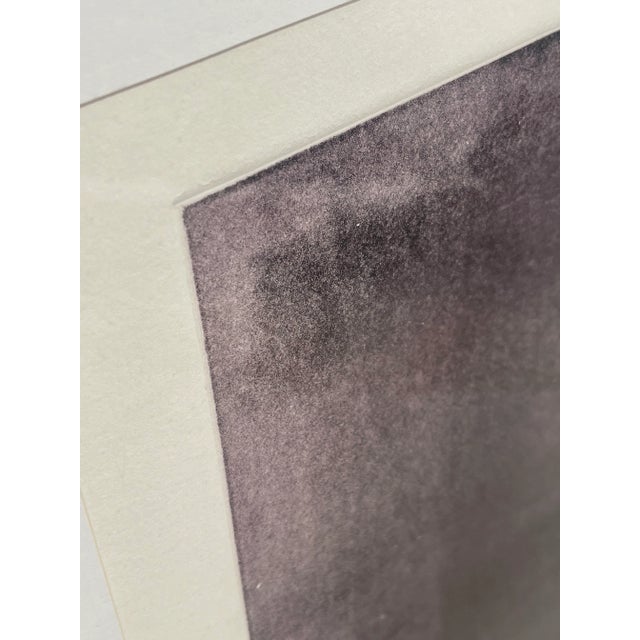 Metal 1970s Fritz Scholder Botanical Monotype "Purple Petunias #2" For Sale - Image 7 of 13