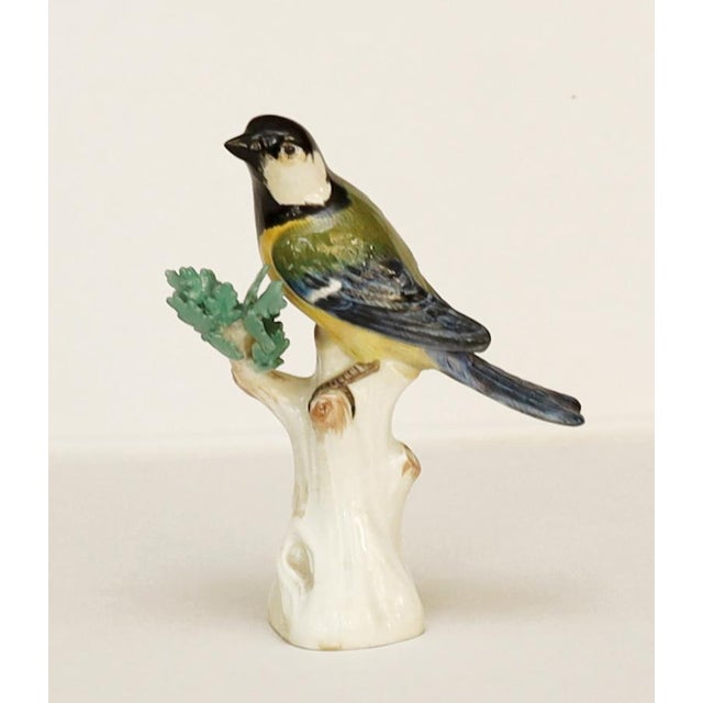 Porcelain Great Tit on a Tree Stump from Meissen, 1920s For Sale - Image 9 of 9