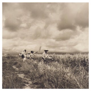Hanna Seidel, Colombian Rice Harvest, Black and White Photograph, 1960s For Sale