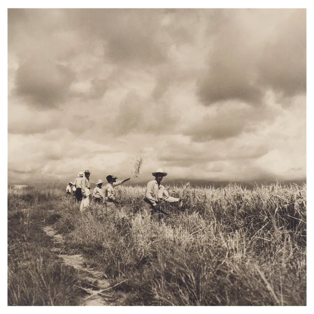 Hanna Seidel, Colombian Rice Harvest, Black and White Photograph, 1960s For Sale