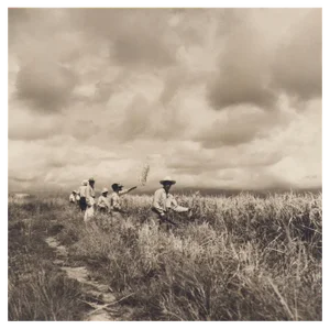 Hanna Seidel, Colombian Rice Harvest, Black and White Photograph, 1960s