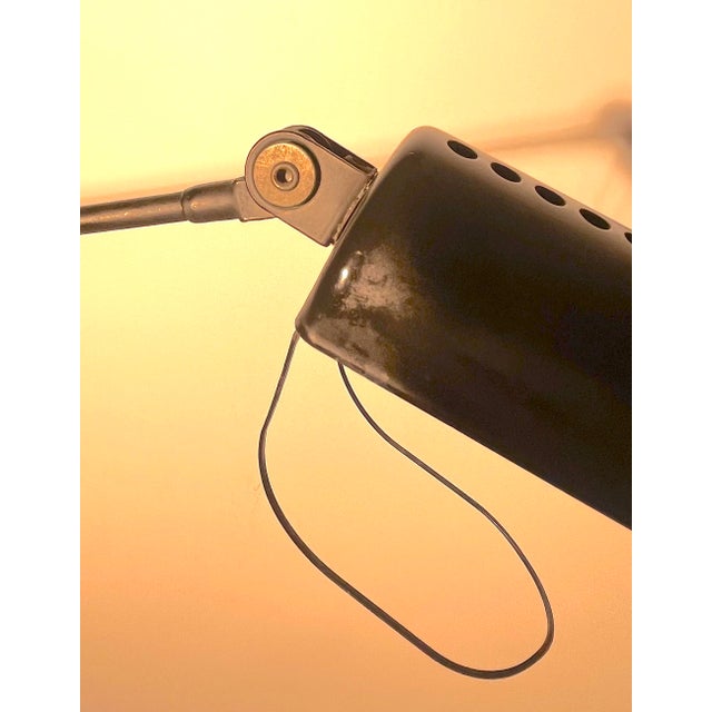 Daphine Terra Lamp by Tommaso Cimini for Lumina, 1970s For Sale - Image 16 of 18