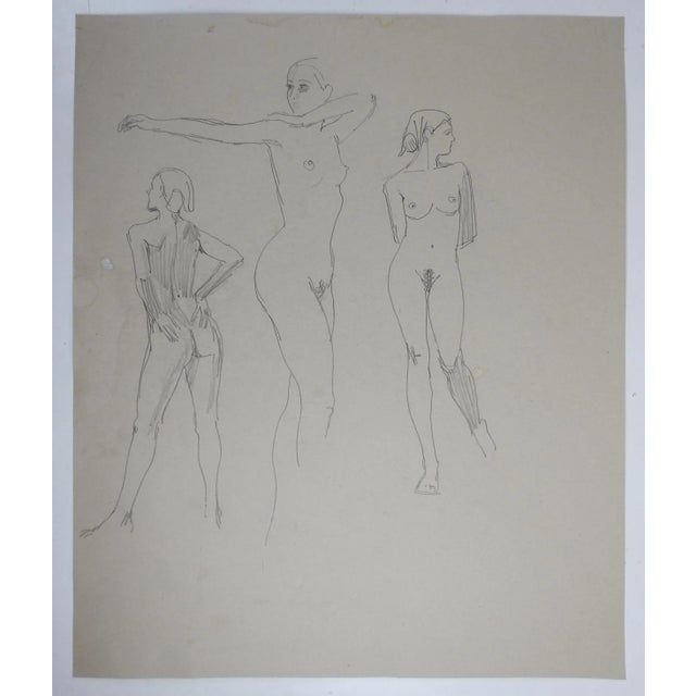 Circa 1960's pencil on buff colored paper female nude studies by Max Jordan, long time artistic director for Frost Bros....
