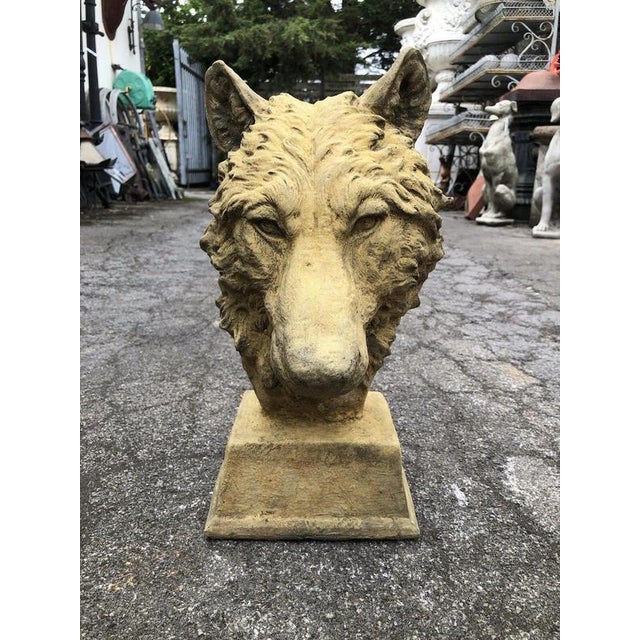 English Cast Stone Wolf Head Bust For Sale - Image 10 of 17