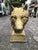 English Cast Stone Wolf Head Bust For Sale - Image 10 of 17