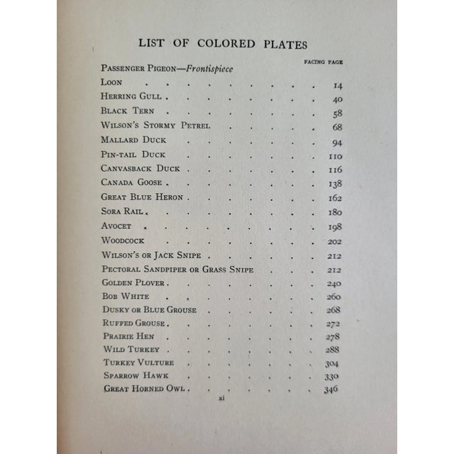 1904 Edition of Birds That Hunt & Are Hunted by Neltje Blanchan For Sale In Baltimore - Image 6 of 12