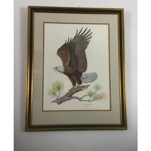 Auburn American Bald Eagle by Albert Earl Gilbert For Sale - Image 8 of 8