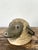 Vintage Painted Ram Bust For Sale - Image 4 of 18