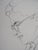 Jean Cocteau, Portrait of Charlie Chaplin, Lithograph For Sale - Image 5 of 7