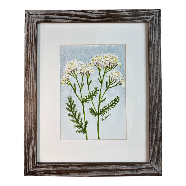 “Wild Yarrow Study” Original Watercolor Painting Signed and Framed For Sale