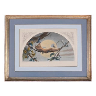 Henry James Townsend, Ariel from Shakespeare's The Tempest, 1873, Etching For Sale