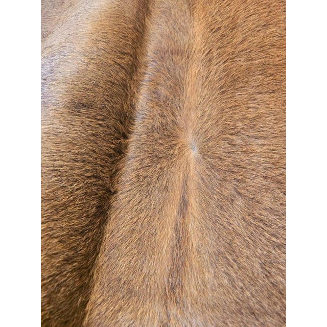 Large Beige and Brown Cowhide Rug For Sale - Image 11 of 18