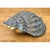 Late 20th Century Vintage Patinated Brass Conch Shell For Sale - Image 5 of 12