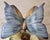 1980s 2 Beautiful Herend Butterfly and Flower Figurines For Sale - Image 14 of 17
