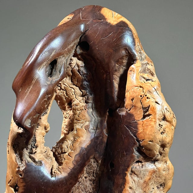 Vintage Abstract Modernist Hand Carved Burl Wood Sculpture on Stand For Sale - Image 4 of 8