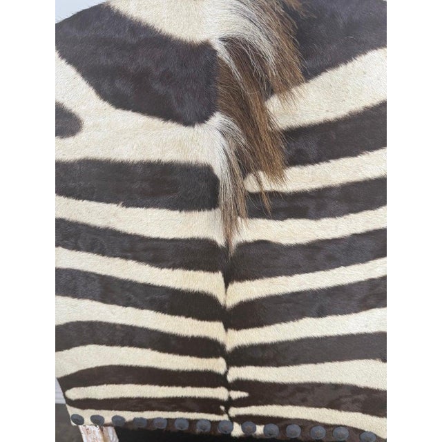 19th Century Italian Armchair With Zebra Upholstery For Sale In Los Angeles - Image 6 of 9