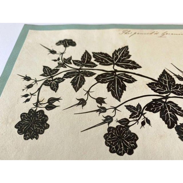 Barbara Anne Townshend, The Pencil'd Geranium, Paper Cut For Sale - Image 5 of 8