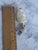 Antique White Mid-Century European Glass Rabbit Clip Ornament For Sale - Image 8 of 10
