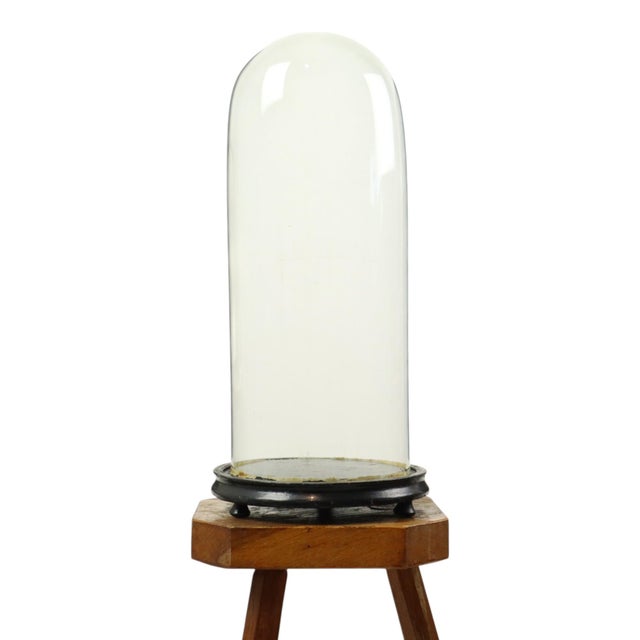 Large Antique Mouth-Blown Glass Dome, 1890s For Sale - Image 14 of 14