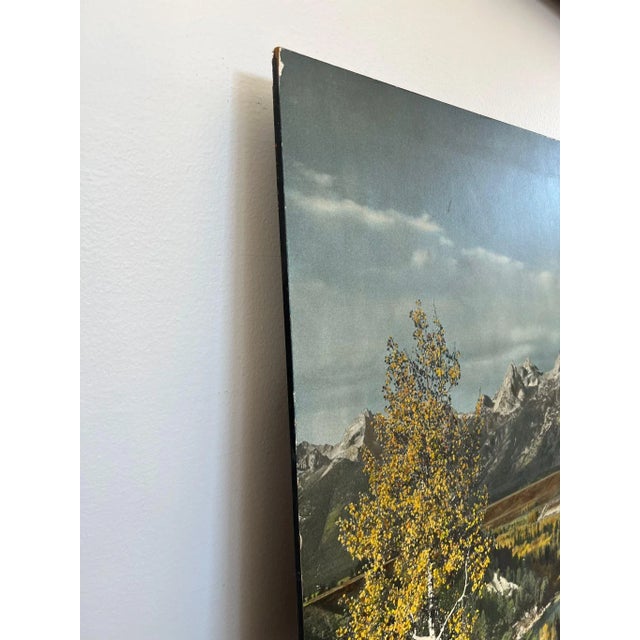 1970s 1970s Vintage Tinted Photo Print For Sale - Image 5 of 10