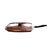 Large Copper Stainless Fish Frying Pan from Spring Culinox, Switzerland For Sale - Image 10 of 10