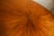 1950s Attributed to Osvaldo Borsani for Stow Davis Sunburst Oval Dining Table For Sale - Image 15 of 18