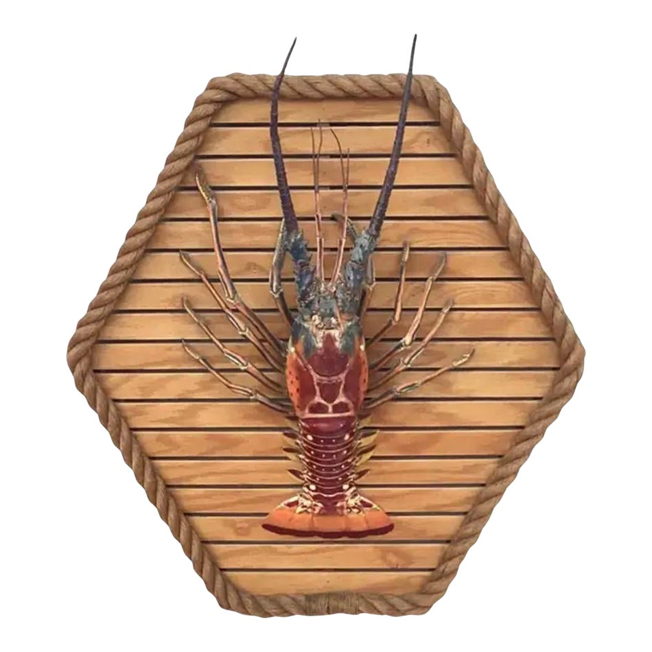 Large Taxidermy Lobster Mounted on Hexagon Shaped Wood and Rope Frame ...