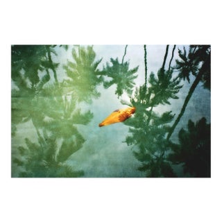Yellow Leaf Oversize Archival Pigment Print, Signed Limited Edition, 2012 For Sale