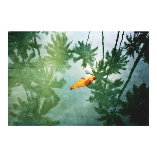 Yellow Leaf Oversize Archival Pigment Print, Signed Limited Edition, 2012 For Sale