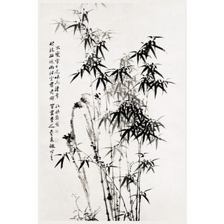 Chinese Bamboo by Zheng Xie, Vintage Art Print, 20" X 30" For Sale