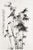 Chinese Bamboo by Zheng Xie, Vintage Art Print, 20" X 30" For Sale