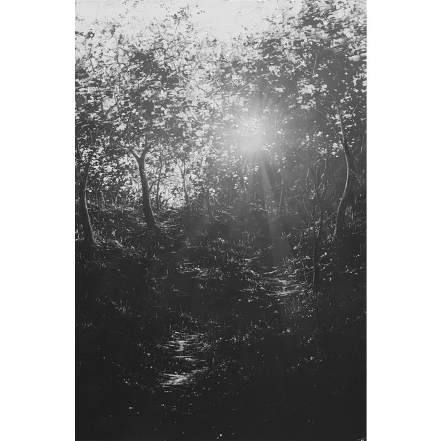 This oil on board painting captures a serene woodland scene, where dappled sunlight filters through a canopy of leaves,...