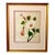 Original Art, Morning Glories, Custom Framed Art Painted on Silk For Sale