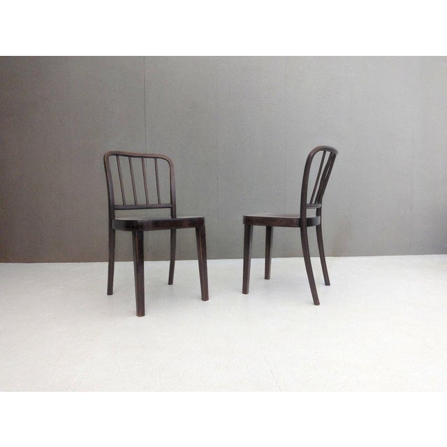 811/4 Dining Chairs by Josef Hoffmann for Thonet, 1930s, Set of 4 For Sale - Image 6 of 17