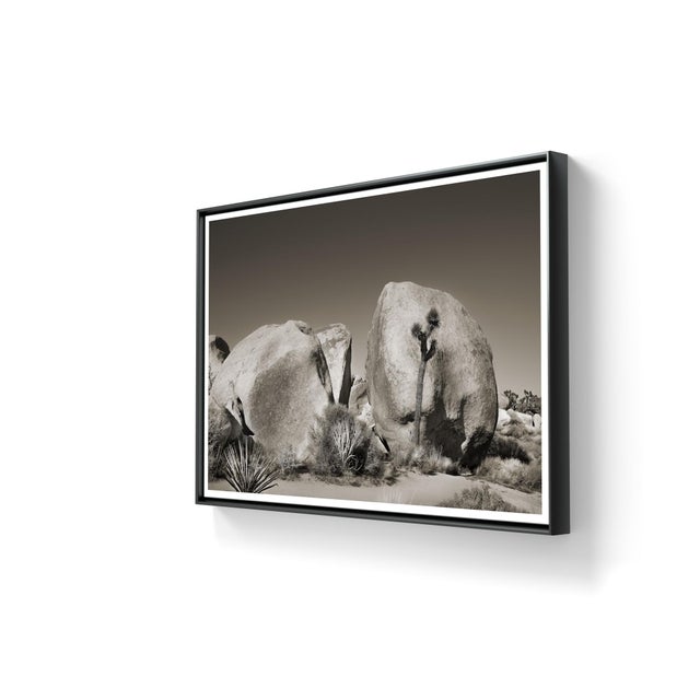 Traditional 42" Signed Original Photograph by Glenn Daidone. Limited Edition Print on Archival Paper. Oceanscape. Cape CodQuiet For Sale - Image 3 of 3