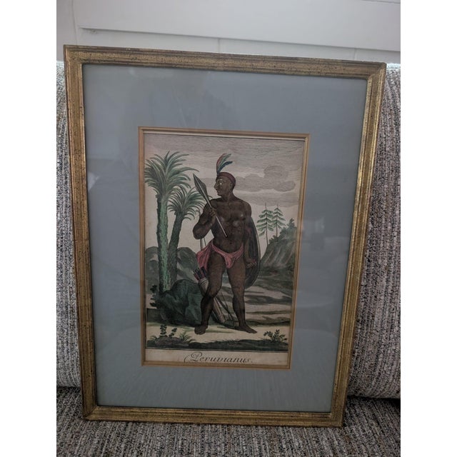 18th Century Antique 18thC Jeremias Wolff Hand-Colored Etching Peruvianus For Sale - Image 5 of 5