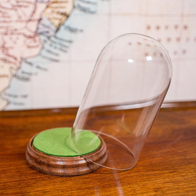 Traditional Small Antique Display Dome, English, Glass, Specimen Showcase, Edwardian, c.1910 For Sale - Image 3 of 9