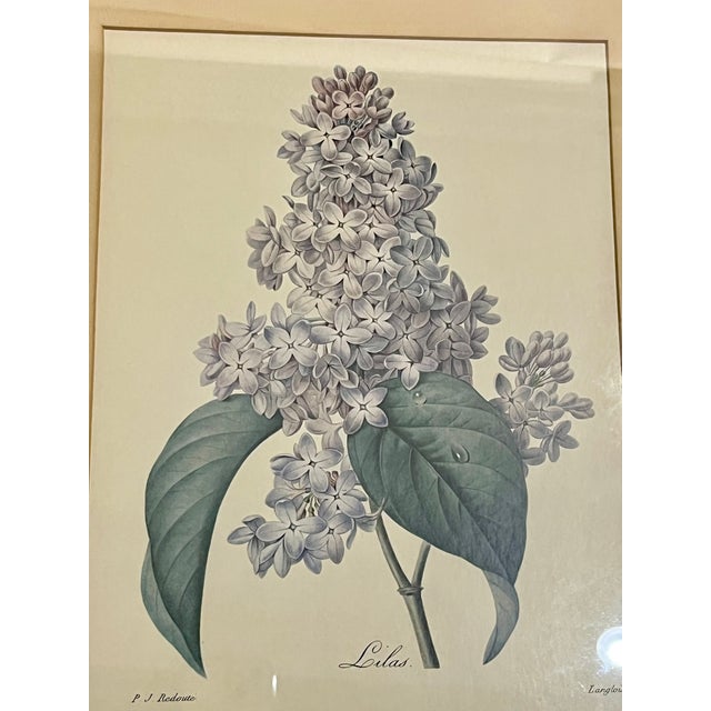 Pair Vintage English Country House Framed Floral Botanical Prints After Redoute and Chirat For Sale - Image 13 of 14