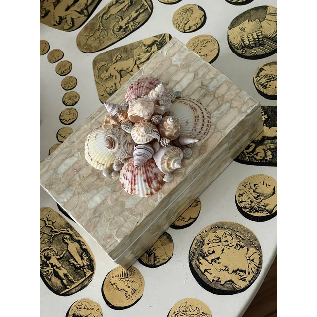 Shell Mid 20 Th C Sea Shells Shell Encrusted Box For Sale - Image 7 of 7