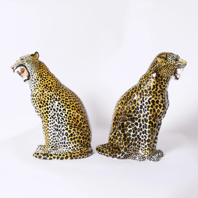 Striking pair of mid century snarling leopard figures or sculptures crafted in terra cotta, hand decorated and glazed....