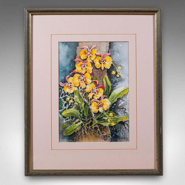 Set of 4 Vintage Botanical Watercolour Pictures, Malaysian Art, Orchids, Framed For Sale - Image 4 of 12