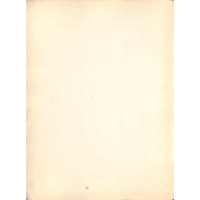 Traditional Mid 20th Century Ferd Peck by Carlo De Fornaro Reproduction Print For Sale - Image 3 of 3